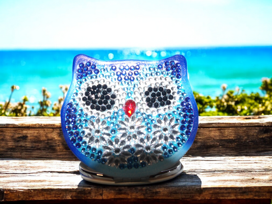 Blue Owl Pocket Mirror