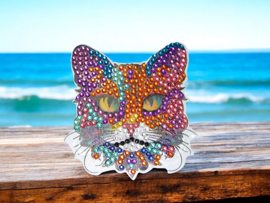 Colorful Cat Face Magnet