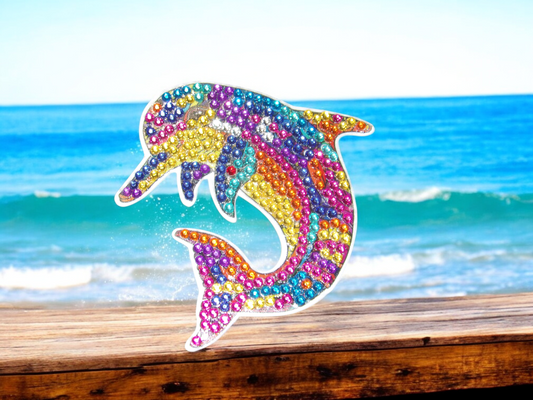 Dolphin Magnet