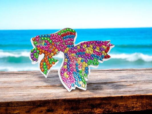 Fish Magnet